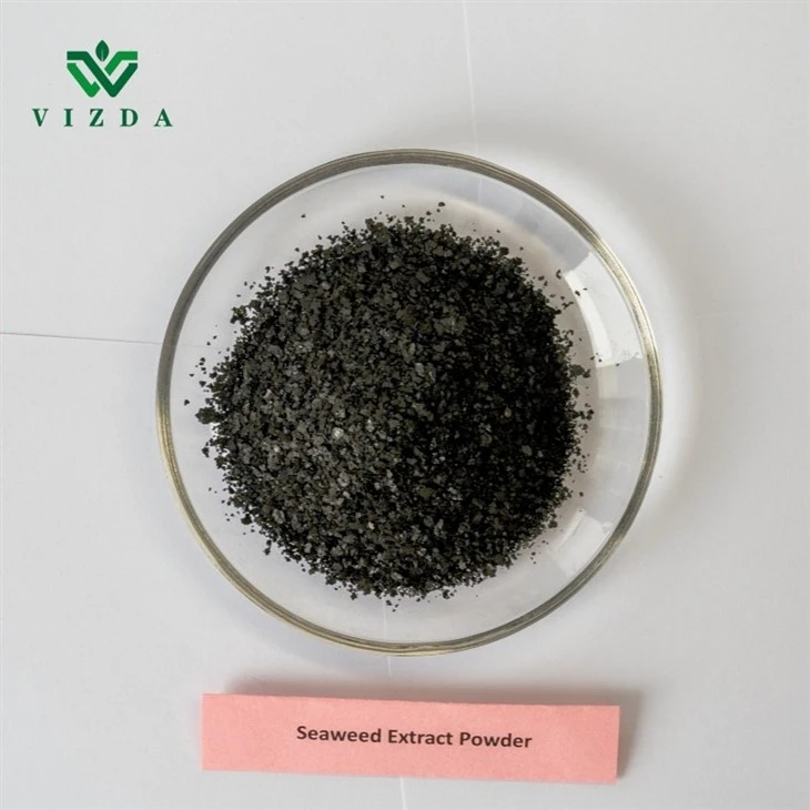 Seaweed Fertilizer Powder