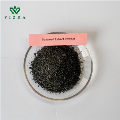 Extrait d'algues d'engrais agricole soluble dans l'eau