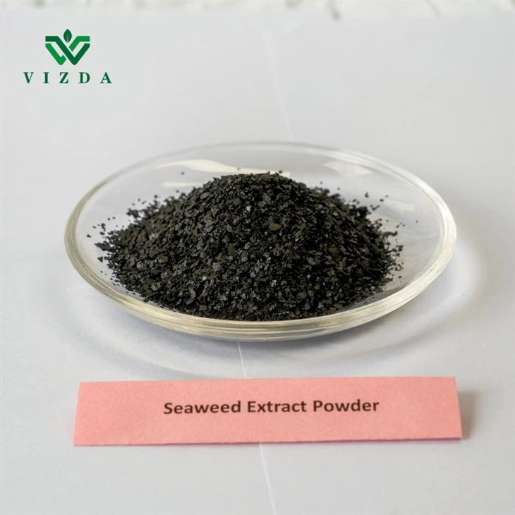 Soluble Seaweed Extract Fertilizer
