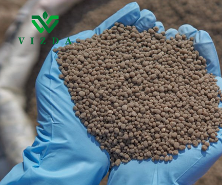 Citrus Fruit Crops Phosphorus Top Dressing DAP Fertilizer