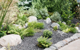 Pas la main verte ? Voici comment « faire pousser » un jardin de rocaille san...