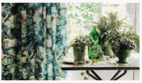 Ces 5 erreurs courantes pourraient tuer vos plantes d'intérieur cet été, aver...