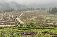 La BAD approuve des prêts doubles pour soutenir l'agriculture intelligente fa...