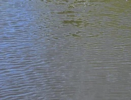 Un laboratoire monté sur un drone- surveille le ruissellement des engrais en ...