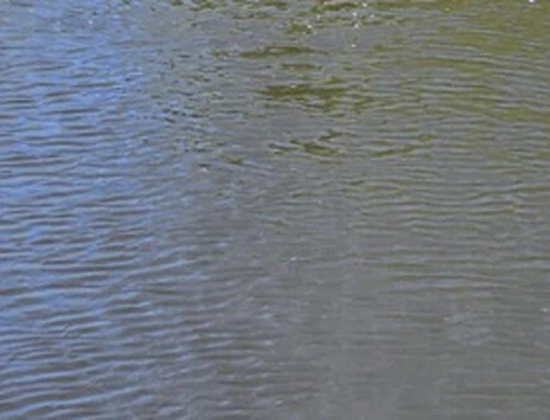 Un laboratoire monté sur un drone- surveille le ruissellement des engrais en ...